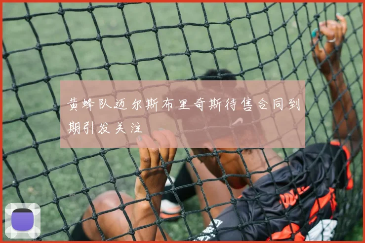 黄蜂队迈尔斯布里奇斯待售合同到期引发关注