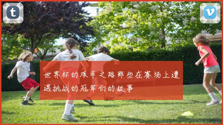 世界杯的艰辛之路那些在赛场上遭遇挑战的冠军们的故事