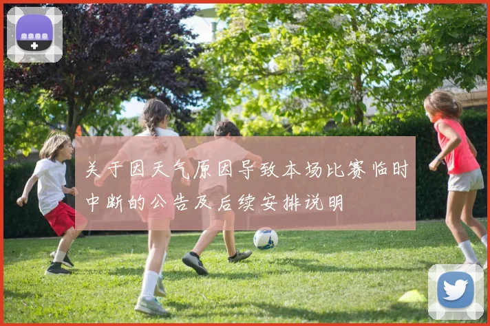 关于因天气原因导致本场比赛临时中断的公告及后续安排说明